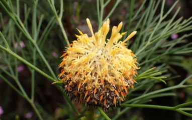 PA220514a.jpg